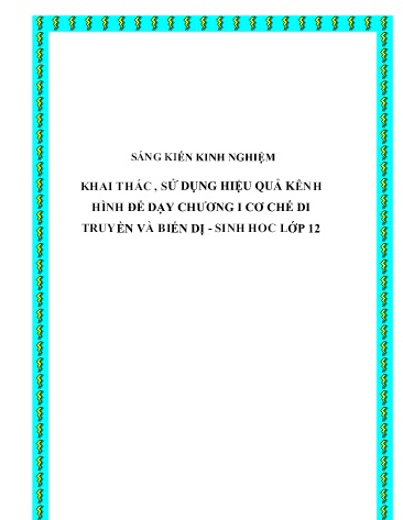 Sáng kiến kinh nghiệm Khai thác, sử dụng hiệu quả kênh hình để dạy chương I Cơ chế di truyền và biến dị - Sinh hoc lớp 12